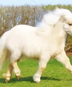 Blonde Pony Diamond Painting