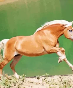 Blonde Stallion Horse Diamond Painting