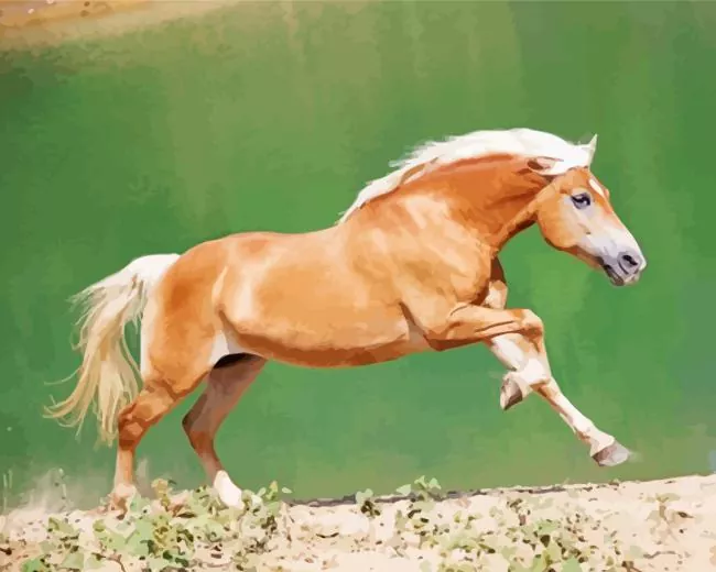 blonde stallion horse Diamond With Numbers Blonde Stallion Horse Diamond Painting