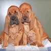 Bloodhound Puppies Diamond Painting