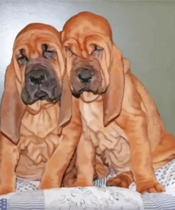 Bloodhound Puppies Diamond Painting