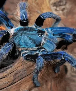 Blue Tarantula Spider Diamond Painting
