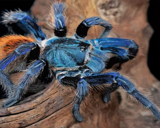 blue Tarantula spider Diamond By Numbers Blue Tarantula Spider Diamond Painting