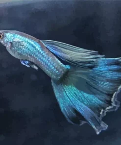 Blue Moscow Guppy Diamond Painting