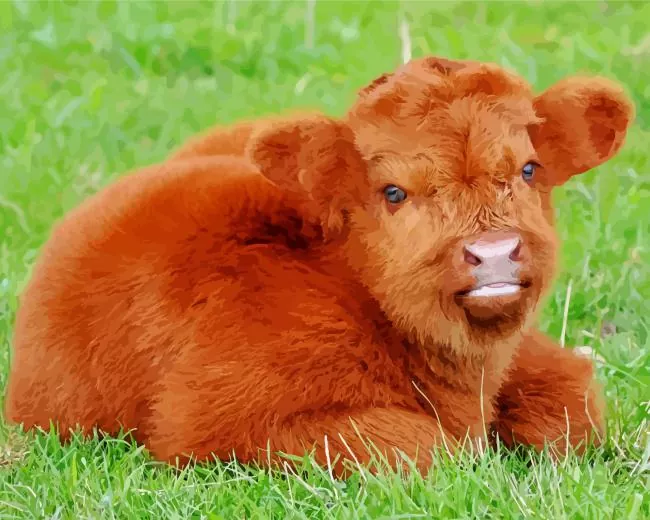 brown fluffy cow Diamond With Numbers Brown Fluffy Cow Diamond Painting