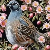 California Quail And Flowers Diamond Painting