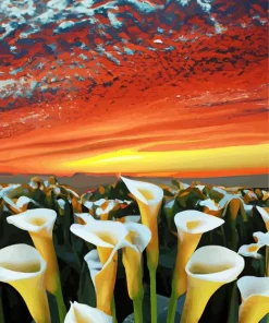 Calla Lily Valley At Sunset Diamond Painting
