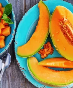 Cantaloupe Fruit Diamond Painting
