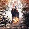 Cat Water Reflection Lion Diamond Painting