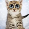 Cat With Big Eyes Diamond Painting