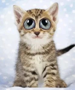 Cat With Big Eyes Diamond Painting