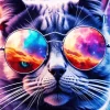 Cat With Galaxy Glasses Diamond Painting