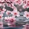 Cherry Blossom In Water Diamond Painting