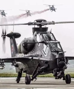 Chinese Caic WZ10 Diamond Painting