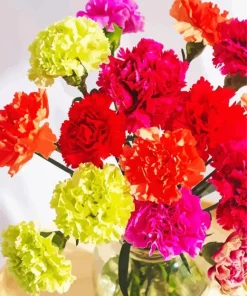 Colorful Carnation Flowers Diamond Painting
