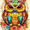 Colorful Owl Bird Diamond Painting