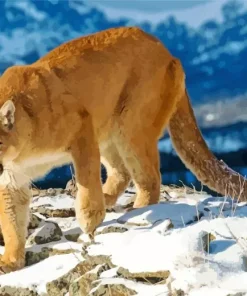 Cougar Mountain Lion Diamond Painting