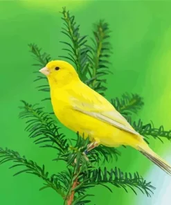 Domestic Canary Diamond Painting