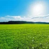 Green Grass Field Landscape Diamond Painting