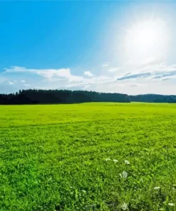 Green Grass Field Landscape Diamond Painting