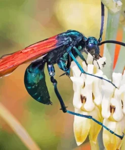 Green Tarantula Hawk Diamond Painting