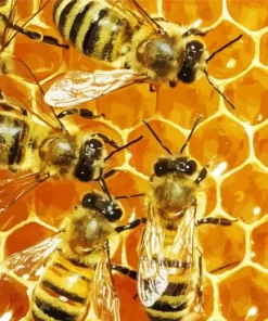 Honey Bee Hive Diamond Painting