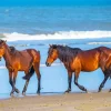 Horses Beach Diamond Painting