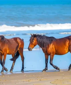 Horses Beach Diamond Painting