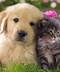 Kitten And Puppy In Garden Diamond Painting