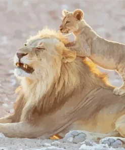 Lion And Cub Playing Diamond Painting