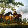 Mares And Foals In A River Landscape Diamond Painting
