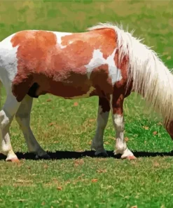 Miniature Horse Diamond Painting