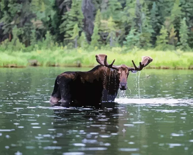 moose in river Diamond Paintings Moose In River Diamond Painting