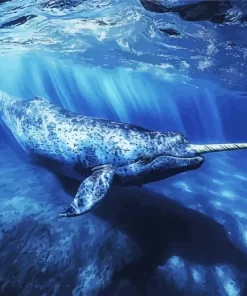 Narwhal Animal Diamond Painting
