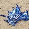 Nudibranch Blue Diamond Painting