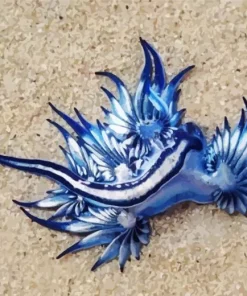 Nudibranch Blue Diamond Painting