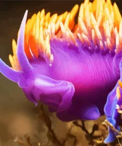 Nudibranch Purple Diamond Painting