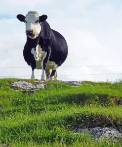 Obese Cow Diamond Painting