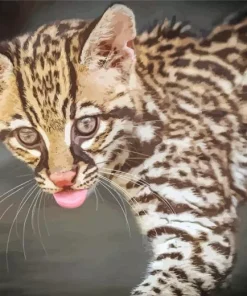 Ocelot Wild Cat Diamond Painting