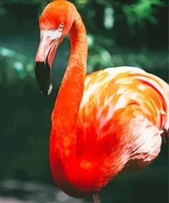 Orange Flamingo Bird Diamond Painting