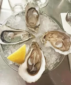 Oyster And Lime Diamond Painting