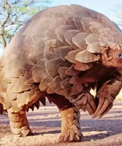 Pangolin Animal Diamond Painting
