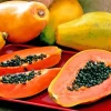 Papaya Fruit Diamond Painting