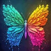 Rainbow Butterfly Art Diamond Painting