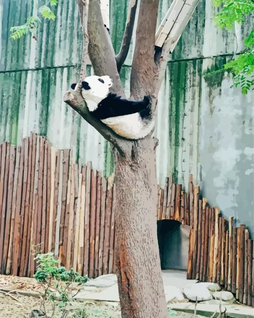 sad panda Diamond Paintings Sad Panda Diamond Painting