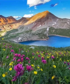 Silver Lake Co Diamond Painting