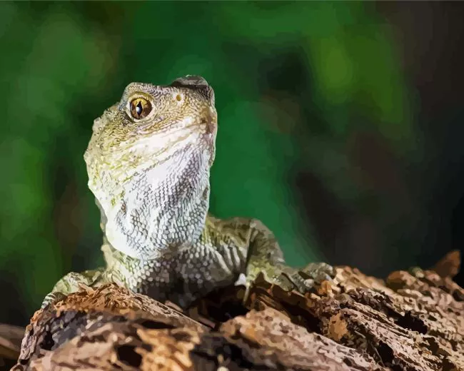 tuatara Diamond With Numbers Tuatara Diamond Painting