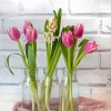 Tulips Flowers In Milk Bottle Diamond Painting