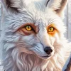 White Fox Diamond Painting