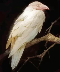 White Raven Bird Diamond Painting
